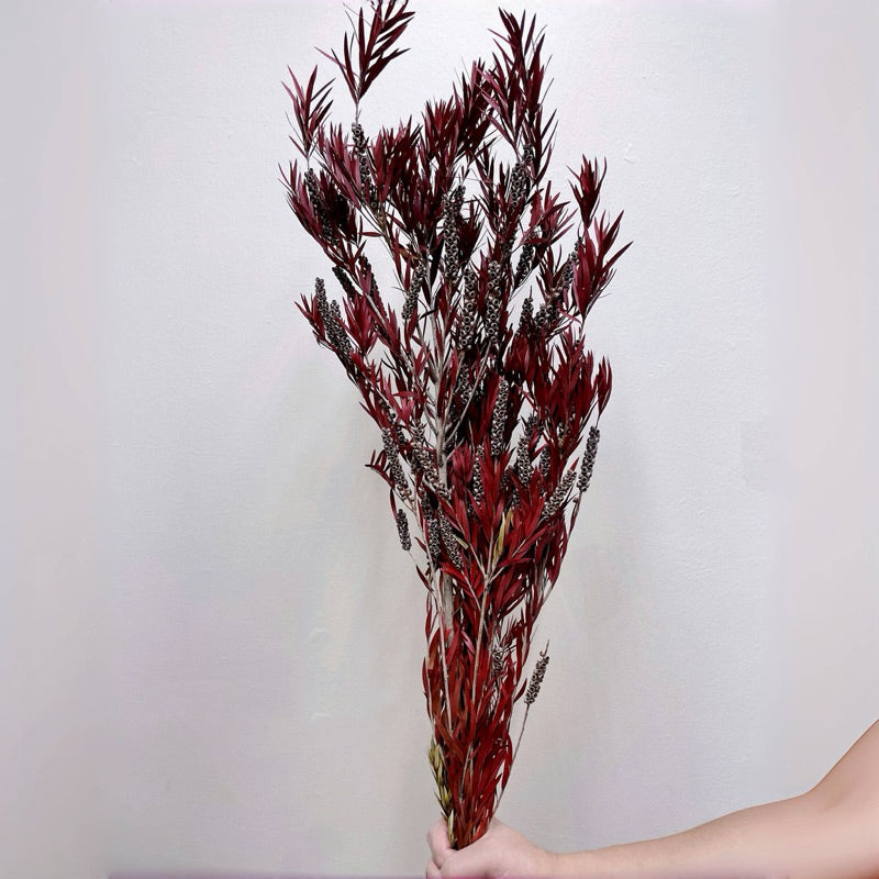 Preserved flower plant Buddha beads dried flower bouquet | DreamGarden SG