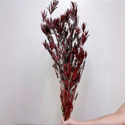 Preserved flower plant Buddha beads dried flower bouquet | DreamGarden SG