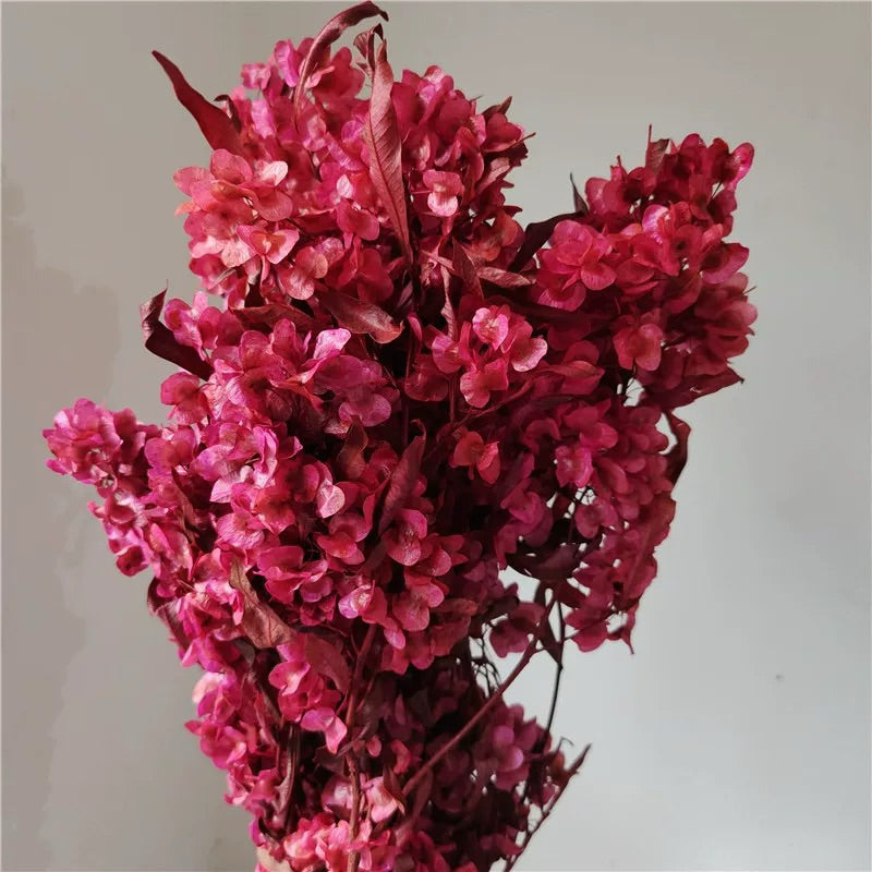 🇸🇬[SG Stock]Preserved Flowers Dried Flowers Preserved Lunaria <Honesty> Singapore Local Home Decoration/DIY/Wedding
