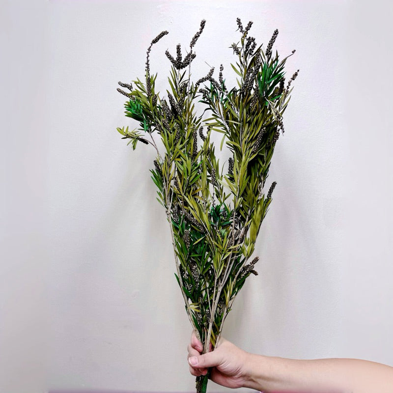 Preserved flower plant Buddha beads dried flower bouquet | DreamGarden SG