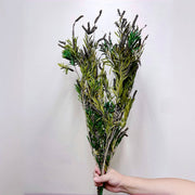 Preserved flower plant Buddha beads dried flower bouquet | DreamGarden SG