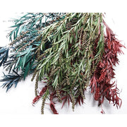 Preserved flower plant Buddha beads dried flower bouquet | DreamGarden SG