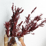 Preserved flower plant Buddha beads dried flower bouquet | DreamGarden SG