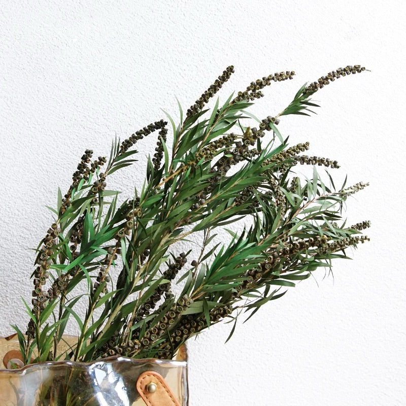 Preserved flower plant Buddha beads dried flower bouquet branches green leaves home flower arrangement decoration