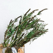 Preserved flower plant Buddha beads dried flower bouquet | DreamGarden SG