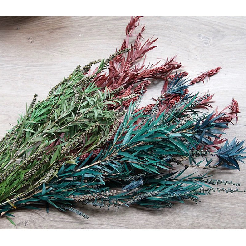 Preserved flower plant Buddha beads dried flower bouquet branches green leaves home flower arrangement decoration