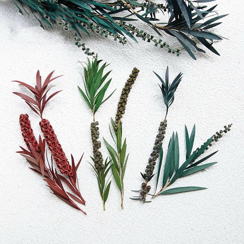 Preserved flower plant Buddha beads dried flower bouquet branches green leaves home flower arrangement decoration