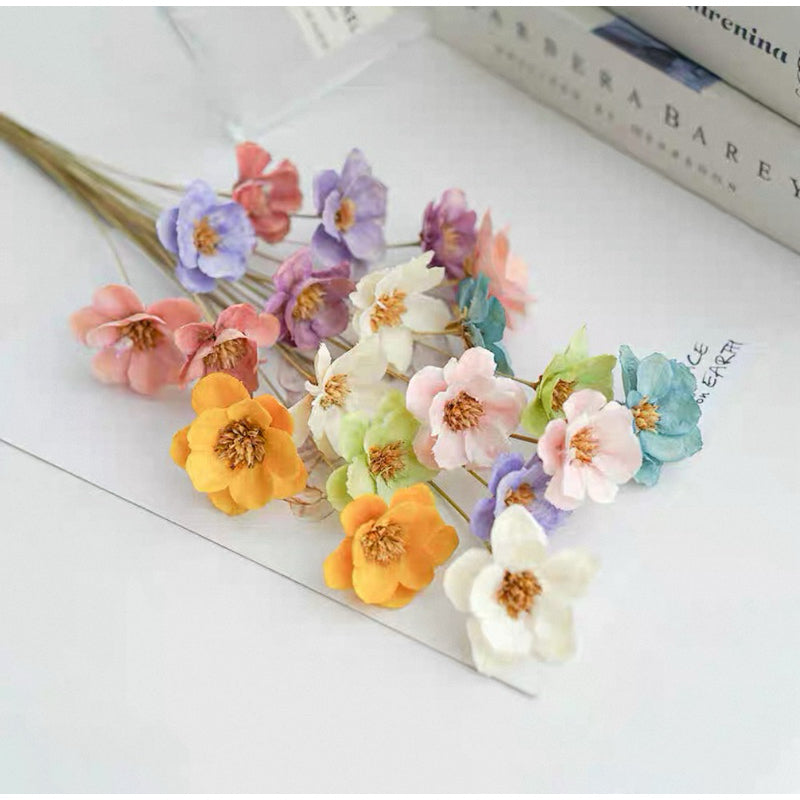🇸🇬[SG Stock]Preserved Flowers Dried Flowers Cotton Flowers Singapore Local Wholesalers Home Decoration/DIY/Wedding