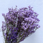 Preserved Limonium 2 | DreamGarden SG
