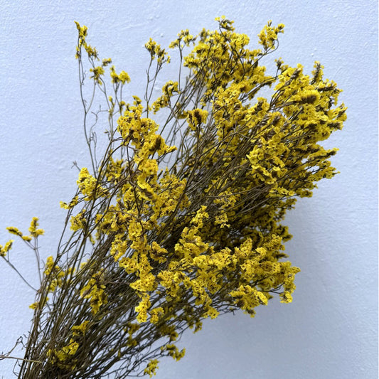 Preserved Limonium