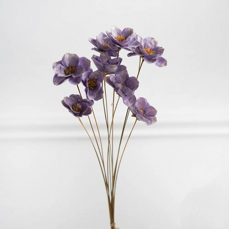 Preserved Flowers Cotton Flowers 2 | DreamGarden SG