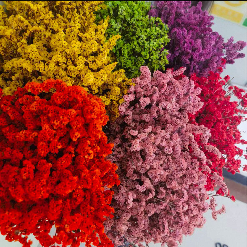 🇸🇬[SG Stock]Preserved Flowers Dried Flowers Preserved Limonium Singapore Local Wholesalers Home Decoration/DIY/Wedding