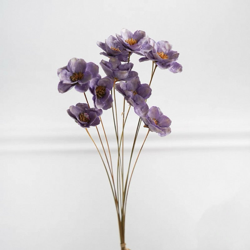 🇸🇬[SG Stock]Preserved Flowers Dried Flowers Cotton Flowers Singapore Local Wholesalers Home Decoration/DIY/Wedding