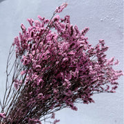 Limonium Diawetkan