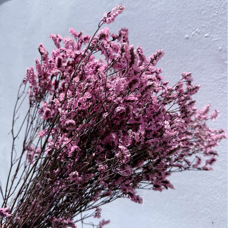 Preserved Limonium