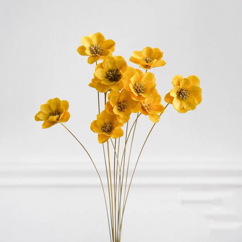 Preserved Flowers Cotton Flowers 2 | DreamGarden SG