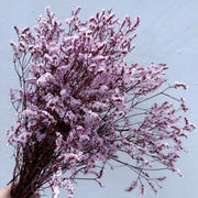 Preserved Limonium | DreamGarden SG