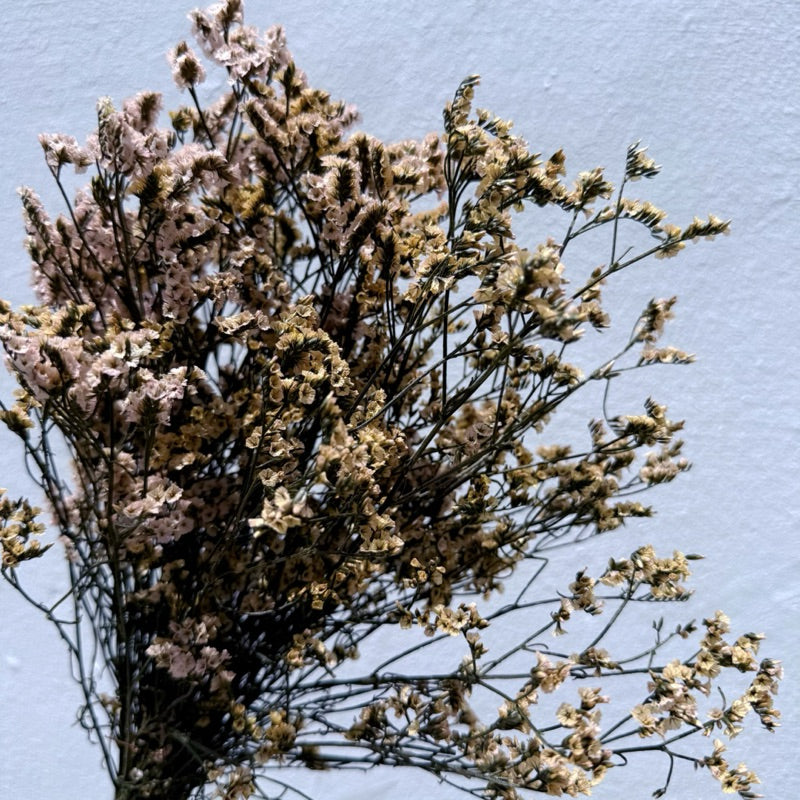 🇸🇬[SG Stock]Preserved Flowers Dried Flowers Preserved Limonium Singapore Local Wholesalers Home Decoration/DIY/Wedding
