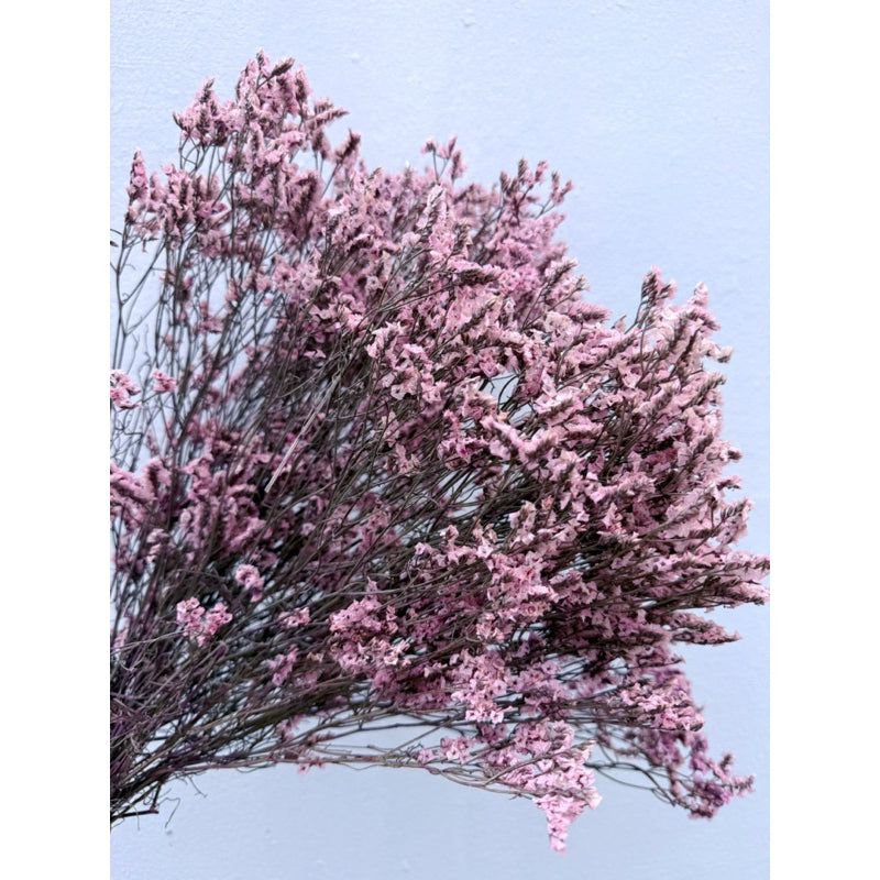 🇸🇬[SG Stock]Preserved Flowers Dried Flowers Preserved Limonium Singapore Local Wholesalers Home Decoration/DIY/Wedding