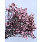 Preserved Limonium | DreamGarden SG