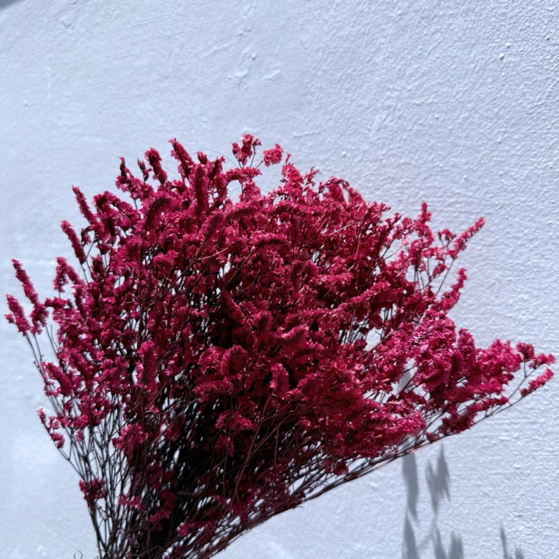 🇸🇬[SG Stock]Preserved Flowers Dried Flowers Preserved Limonium Singapore Local Wholesalers Home Decoration/DIY/Wedding
