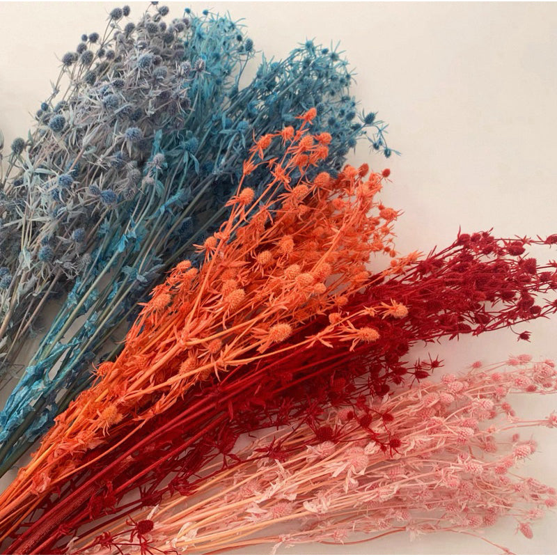 🇸🇬[SG Stock]Preserved Flowers Dried Flowers Preserved Sea Holly Singapore Local Wholesalers Home Decoration/DIY/Wedding