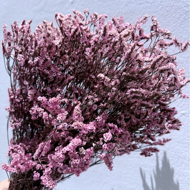Preserved Limonium