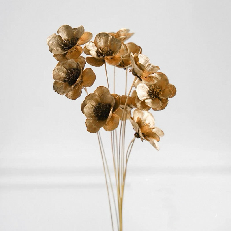 🇸🇬[SG Stock]Preserved Flowers Dried Flowers Cotton Flowers Singapore Local Wholesalers Home Decoration/DIY/Wedding