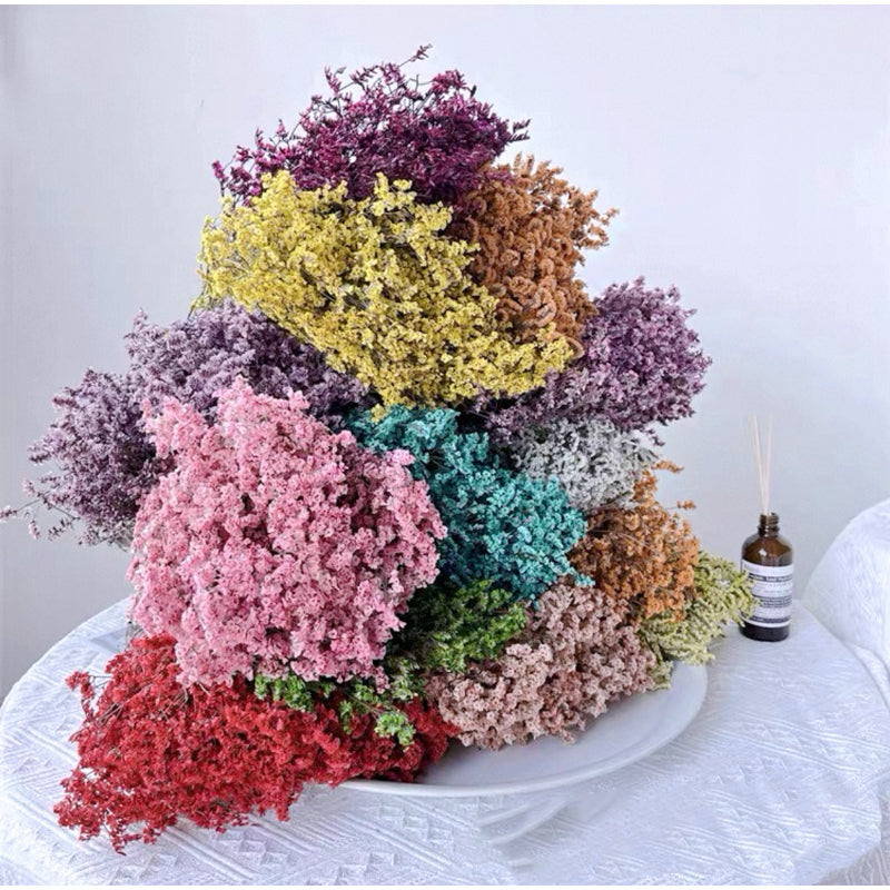 🇸🇬[SG Stock]Preserved Flowers Dried Flowers Preserved Limonium Singapore Local Wholesalers Home Decoration/DIY/Wedding