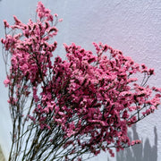 Preserved Limonium 2 | DreamGarden SG