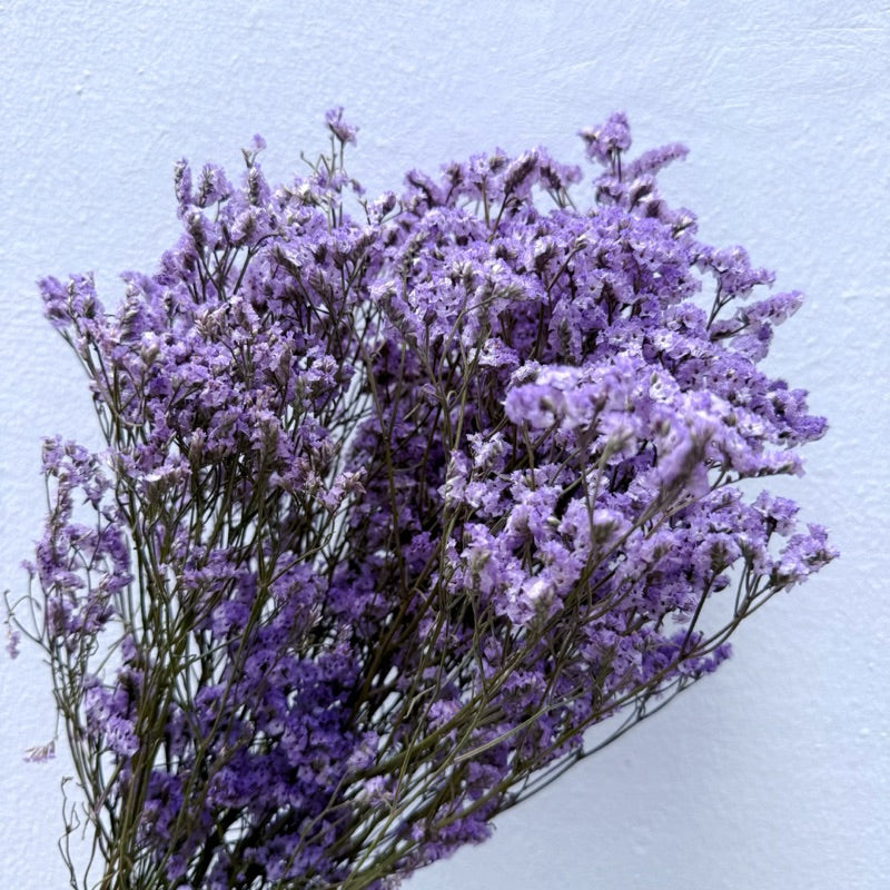 🇸🇬[SG Stock]Preserved Flowers Dried Flowers Preserved Limonium Singapore Local Wholesalers Home Decoration/DIY/Wedding