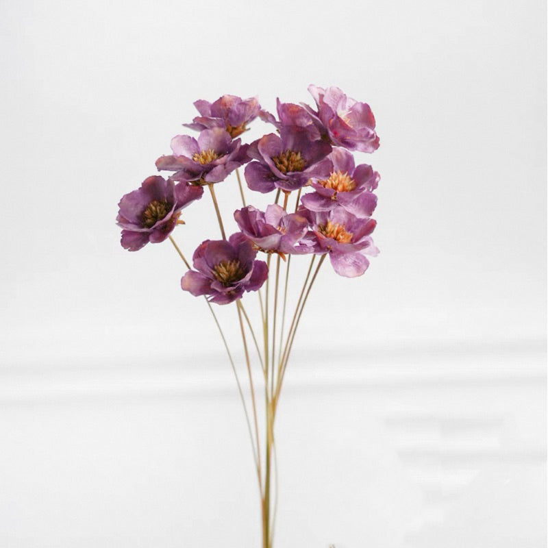 🇸🇬[SG Stock]Preserved Flowers Dried Flowers Cotton Flowers Singapore Local Wholesalers Home Decoration/DIY/Wedding