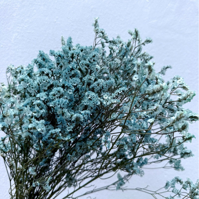 Preserved Limonium 2 | DreamGarden SG