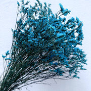 Preserved Limonium | DreamGarden SG