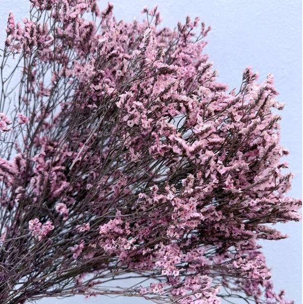 Preserved Limonium