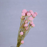 Dried & Preserved Flowers | DreamGarden SG