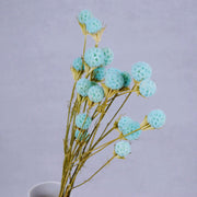 Dried & Preserved Flowers | DreamGarden SG