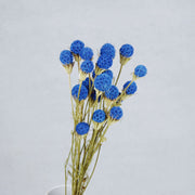 Dried & Preserved Flowers | DreamGarden SG