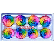 Grade A Rainbow Color Preserved Roses 2 | DreamGarden SG