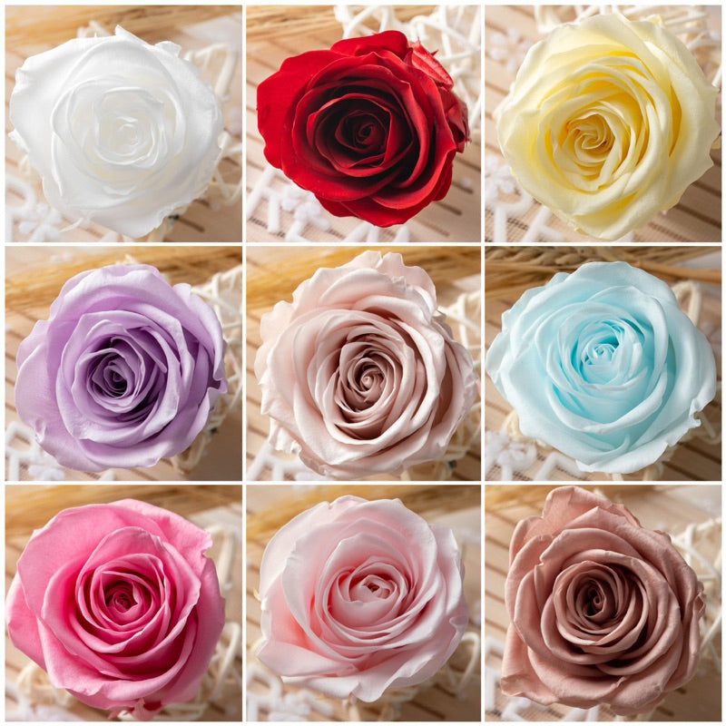 [SG Ready Stock] Grade B Preserved Roses 4–5cm | 8pcs/Box for DIY Bouquets & Floral Crafts