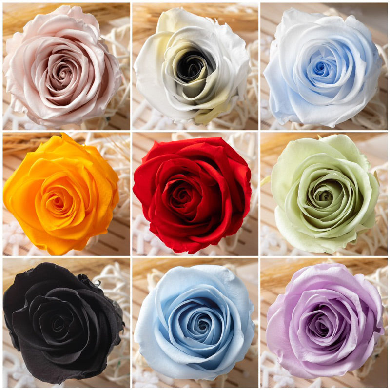 [SG Ready Stock] Grade B Preserved Roses 4–5cm | 8pcs/Box for DIY Bouquets & Floral Crafts