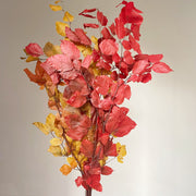 Preserved Leaves Preserved Eucalyptus 2 | DreamGarden SG