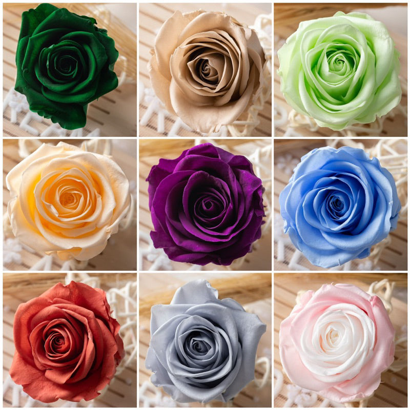 [SG Ready Stock] Grade B Preserved Roses 4–5cm | 8pcs/Box for DIY Bouquets & Floral Crafts