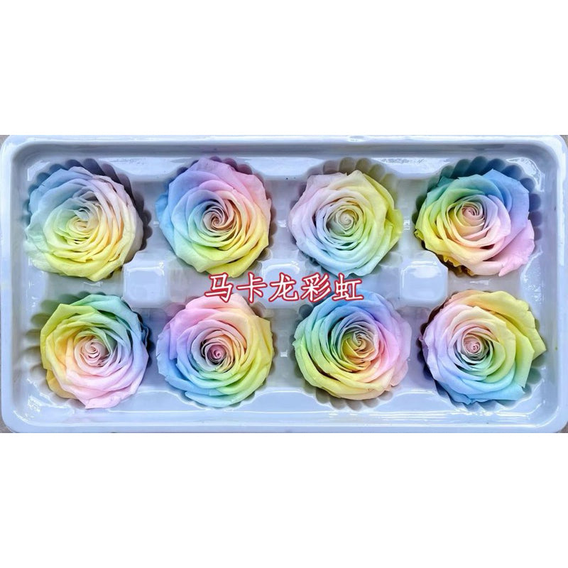 🇸🇬[SG Stock]🇸🇬SG Local Largest Wholesaler Grade A Rainbow Color Preserved Roses Suitable For Decoration/Wedding/DIY/Dome