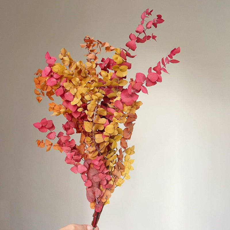 🇸🇬[SG Stock]Singapore Local Wholesaler Dream Garden Preserved Flowers Dried Flower Preserved Leaves Preserved Eucalyptus