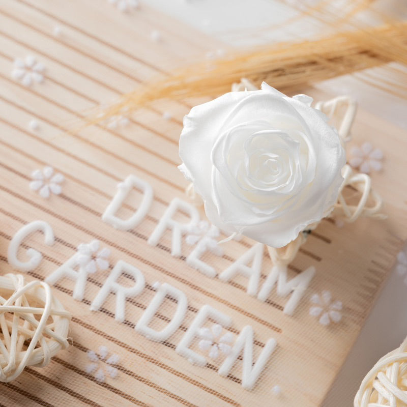 [SG Ready Stock] Grade B Preserved Roses 4–5cm | 8pcs/Box for DIY Bouquets & Floral Crafts