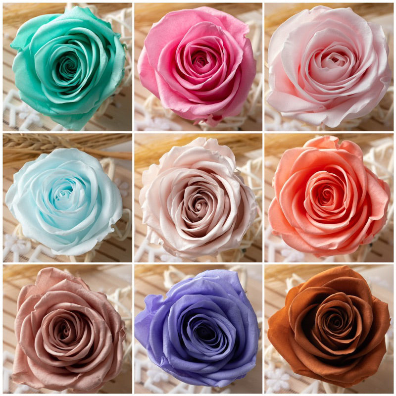 [SG Ready Stock] Grade B Preserved Roses 4–5cm | 8pcs/Box for DIY Bouquets & Floral Crafts