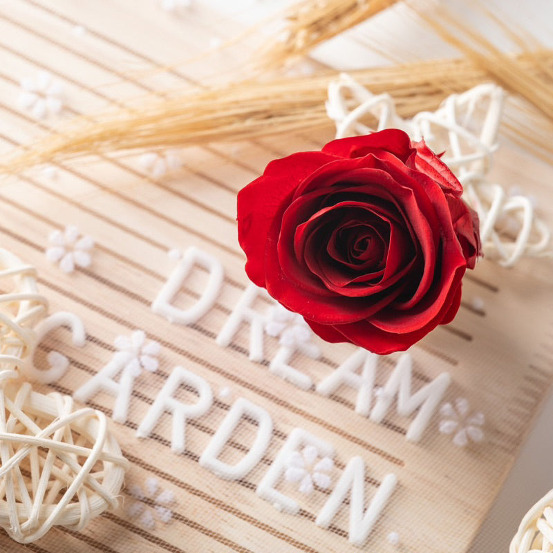 [SG Ready Stock] Grade B Preserved Roses 4–5cm | 8pcs/Box for DIY Bouquets & Floral Crafts
