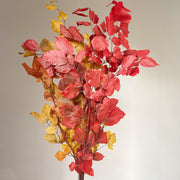 Preserved Eucalyptus