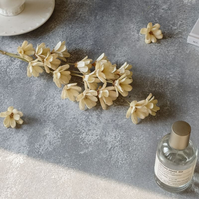 🇸🇬[SG Stock]Preserved Flowers Dried Flower Melon seed  Flowers Handmade Japanese Wood Flowers Singapore Local Wholesale